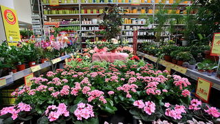 bauMax Zadar: -15% dan 19. ožujka 2014, Foto: Roberto Lerga bauMax Zadar: -15% dan 19. ožujka 2014, Foto: Roberto Lerga