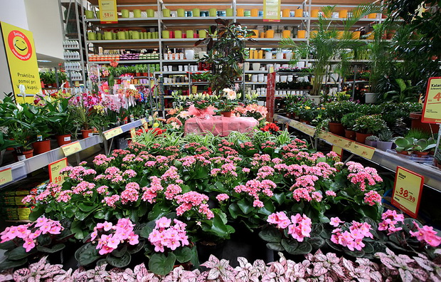 bauMax Zadar: -15% dan 19. ožujka 2014, Foto: Roberto Lerga bauMax Zadar: -15% dan 19. ožujka 2014, Foto: Roberto Lerga