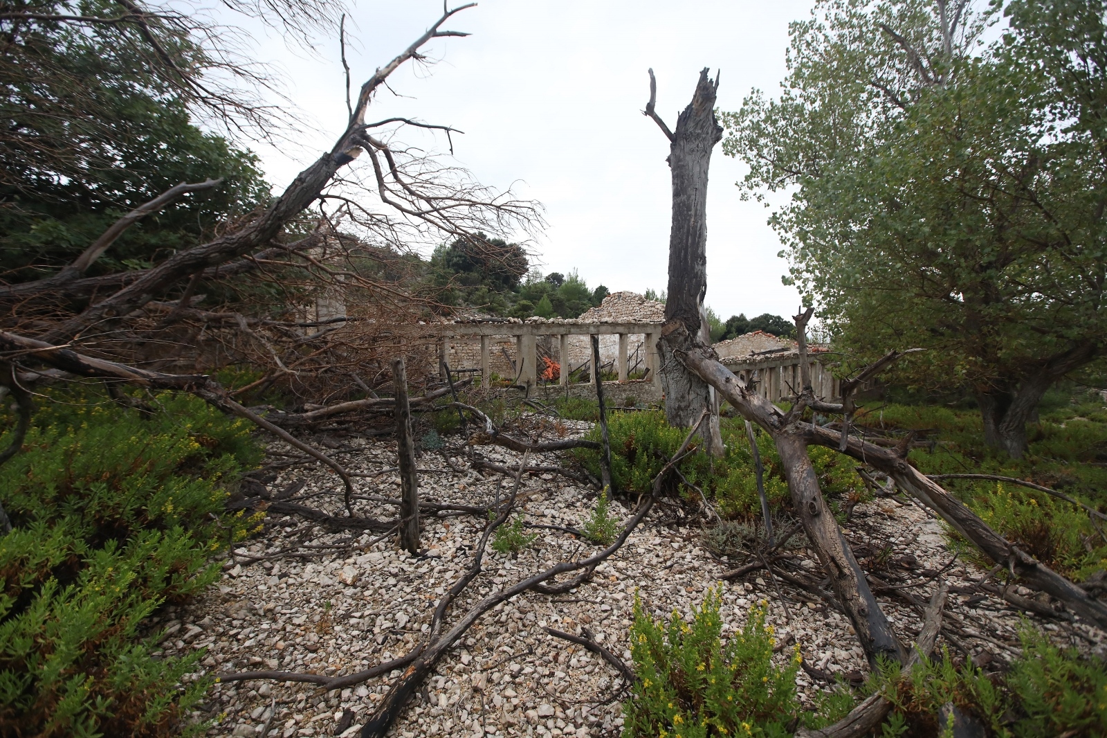 Sv. Grgur: Otok koji je nekad bio zatvor za žene Sv. Grgur: Otok koji je nekad bio zatvor za žene
