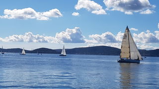 Zadarska Koka 2016. 22. listopada 2016. Foto: Mladen Malik Zadarska Koka 2016. 22. listopada 2016. Foto: Mladen Malik