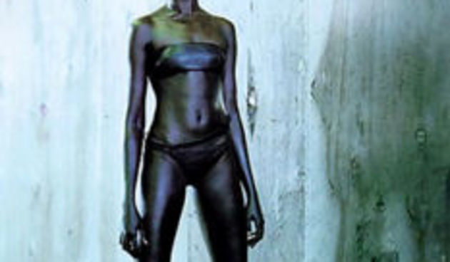 Svestrani supermodel Alek Wek (Moda.hr)