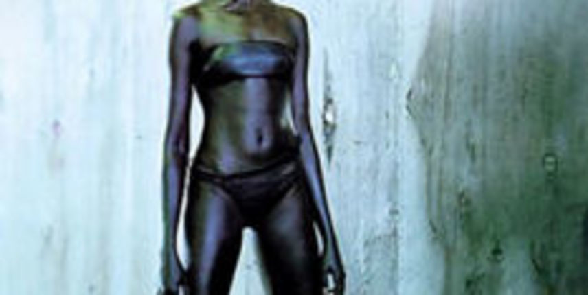Svestrani supermodel Alek Wek (Moda.hr) Svestrani supermodel Alek Wek (Moda.hr)