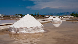 Solana Nin, berba soli, foto: Leo Banić