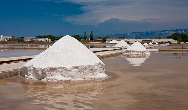 Solana Nin, berba soli, foto: Leo Banić