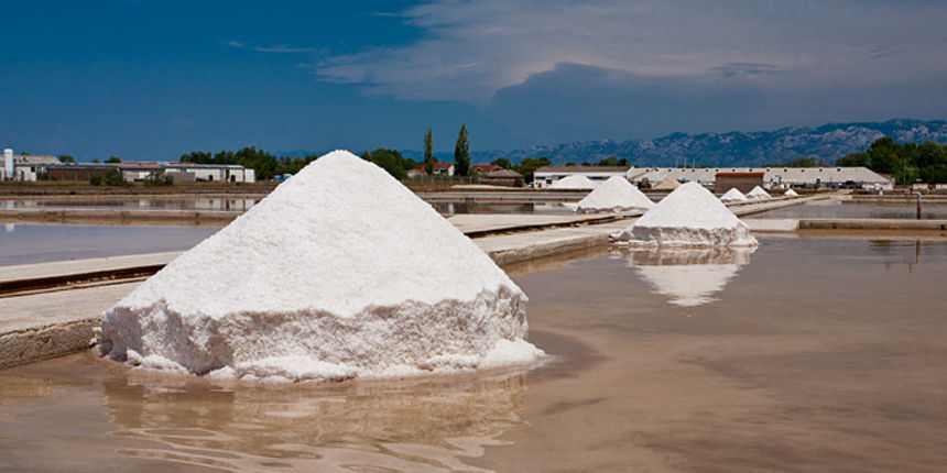 Solana Nin, berba soli, foto: Leo Banić Solana Nin, berba soli, foto: Leo Banić