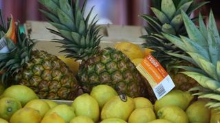 Image 1200383 (auto)