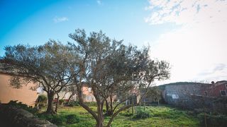 Đir po Sutomišćici Đir po Sutomišćici