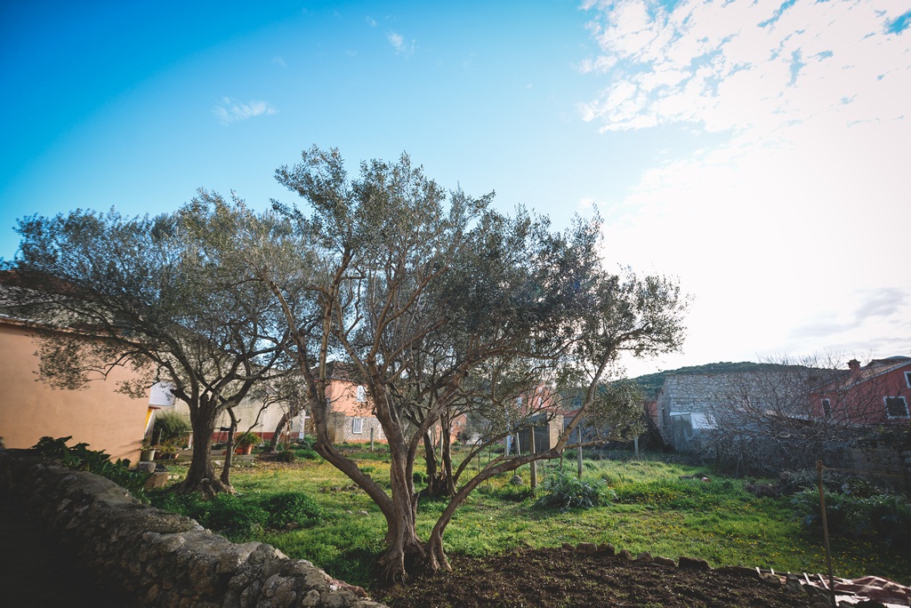 Đir po Sutomišćici Đir po Sutomišćici