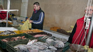 S pjace i peskarije, 24. prosinca 2010., Foto: Leo Banic