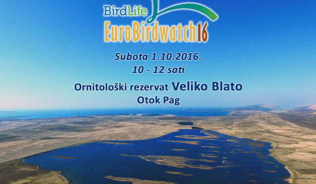 U subotu “EuroBirdwatch” u Velikom Blatu na Pagu