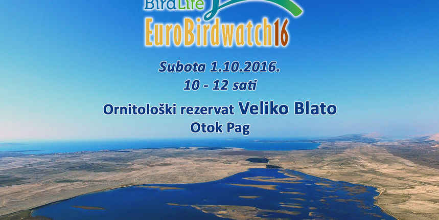 U subotu “EuroBirdwatch” u Velikom Blatu na Pagu