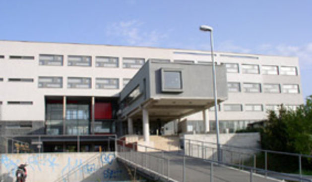 Srednja škola Vice Vlatkovića