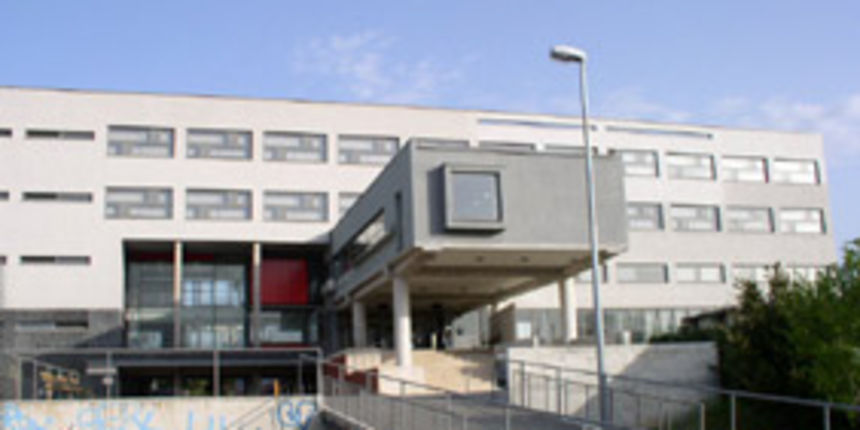 Srednja škola Vice Vlatkovića