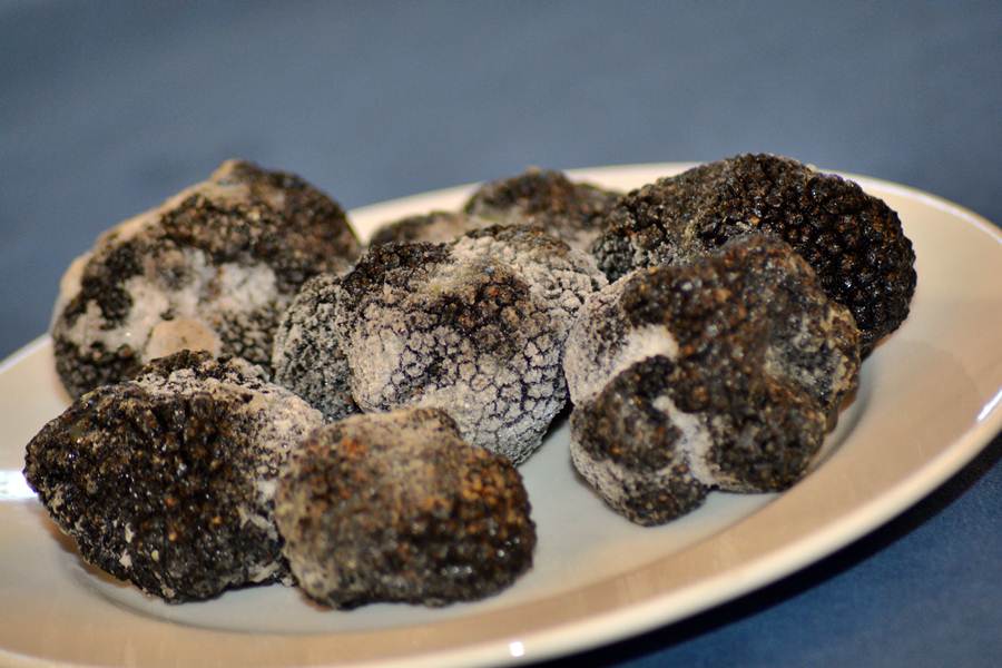 Predstavljanje tartufa s područja Zadarske županije, foto: eZadar