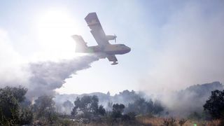 Požar na Plovaniji 11. kolovoza 2013. Foto: Željko Mršić/PIXSELL Požar na Plovaniji 11. kolovoza 2013. Foto: Željko Mršić/PIXSELL
