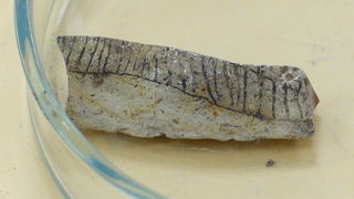 Zadar, 230610.
Na arheoloskom nalazistu u pecini Vlakno na Dugom otoku izmedju ostalih nakitnih predmeta pronadjen je i predmet ukrasen nizom kratkih paralelnih i dva vodoravna ureza za koje se sumnja da su umjetno izradjeni. Star oko 15 000 godina moze Zadar, 230610.
Na arheoloskom nalazistu u pecini Vlakno na Dugom otoku izmedju ostalih nakitnih predmeta pronadjen je i predmet ukrasen nizom kratkih paralelnih i dva vodoravna ureza za koje se sumnja da su umjetno izradjeni. Star oko 15 000 godina moze