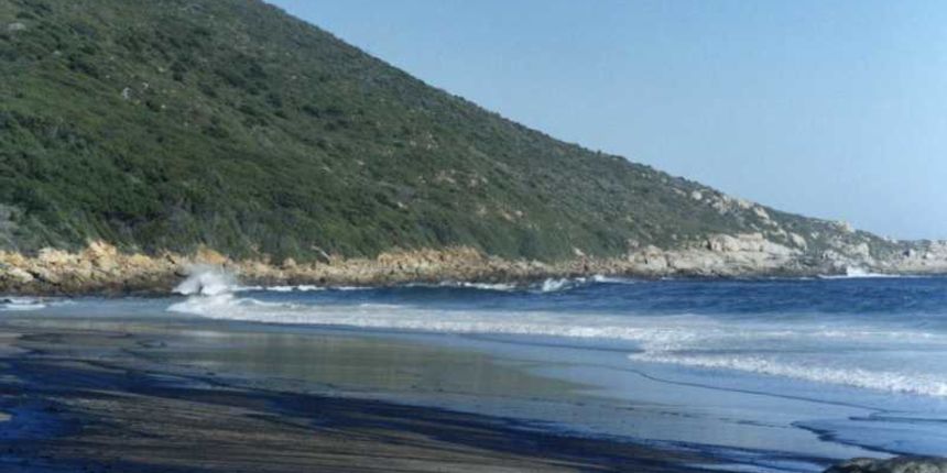 Naftna mrlja/Foto arhiv