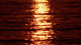 Čarobni smiraj dana na Puntamici 31. kolovoza 2015., Foto: Leonard Kvarantan Čarobni smiraj dana na Puntamici 31. kolovoza 2015., Foto: Leonard Kvarantan