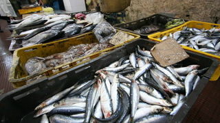 Image 1203817 (auto)