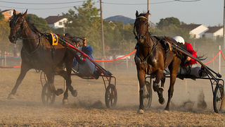 Polača: 14. Međunarodne konjičke utrke “Oluja 95”, Foto: Leo Banić Polača: 14. Međunarodne konjičke utrke “Oluja 95”, Foto: Leo Banić