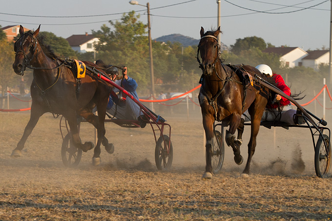 Polača: 14. Međunarodne konjičke utrke “Oluja 95”, Foto: Leo Banić Polača: 14. Međunarodne konjičke utrke “Oluja 95”, Foto: Leo Banić