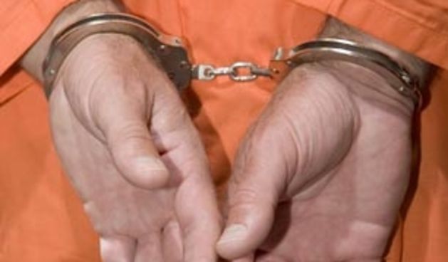 Lisice/Foto: Bail.com