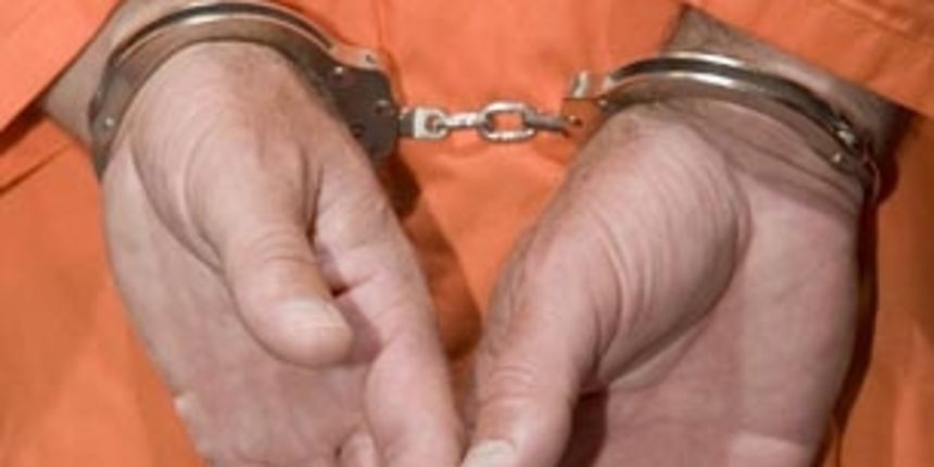 Lisice/Foto: Bail.com Lisice/Foto: Bail.com