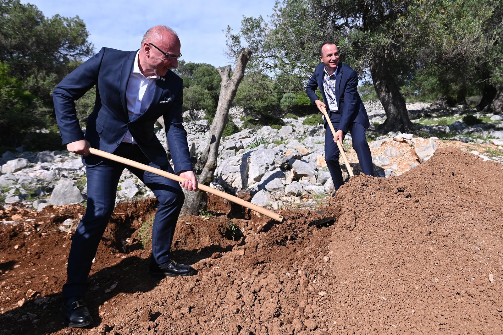 Grlić Radman i veleposlanik Ukrajine posadili maslinu u Perivoju mira
