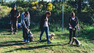 Kinološka udruga Malinois