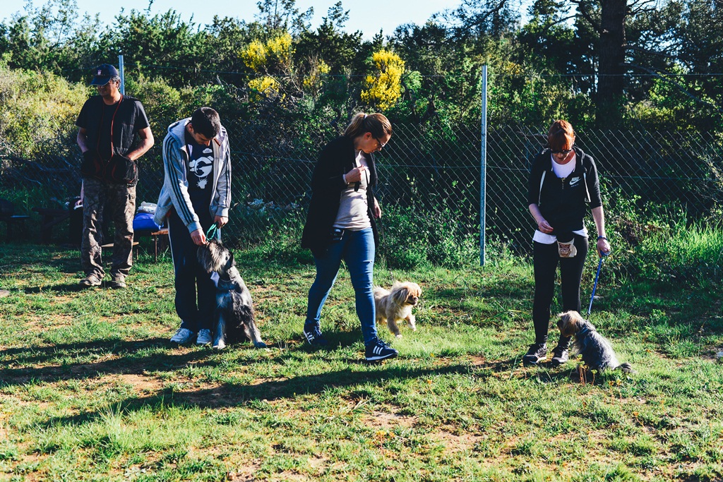Kinološka udruga Malinois