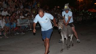 10. međunarodna trka tovarov Tisno 2015