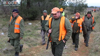 Lovci “Diane” kod Crnog odstrijelili  trinaest lisica i osam čagljeva