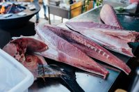 Tuna, Sushi & Wine Festival 2026. Tuna, Sushi & Wine Festival 2026.