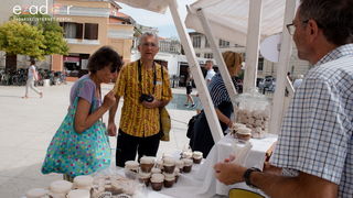 11. Festival smokava – Gastro smokva @ Muzej antičkog stakla 11. Festival smokava – Gastro smokva @ Muzej antičkog stakla