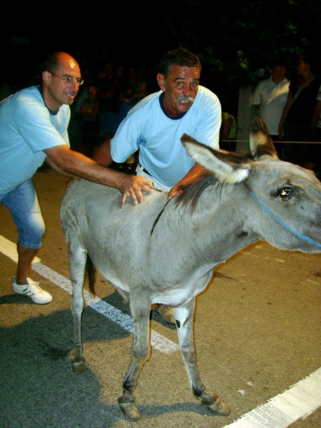 Sukosan: 40. Memorijal kenje Viole i svicarenje, 9. kolovoza 2009, Foto: Mirta Krupic