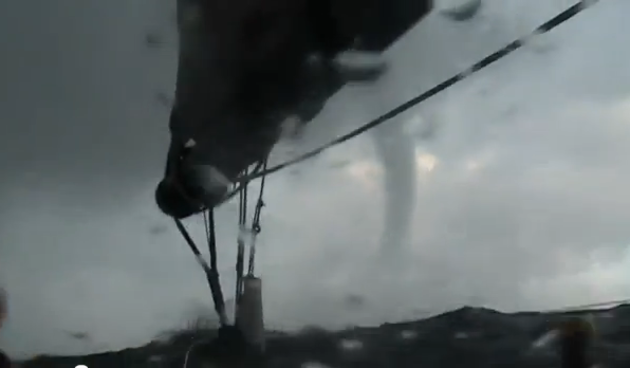 Pijavica na moru, Foto: printscreen Youtube