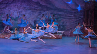 Baletna predstava “Don Quixote”, foto: Leo Banić