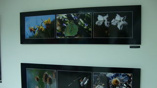 Otvorenje izlozbe Jerolima Vulica, foto: Mario Jerak