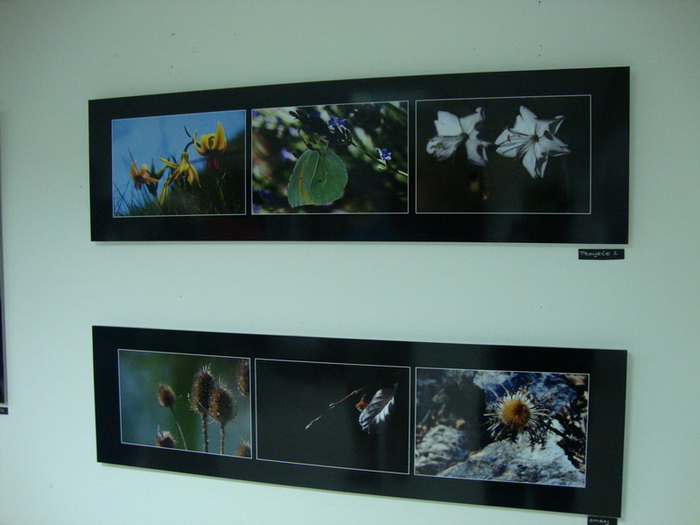 Otvorenje izlozbe Jerolima Vulica, foto: Mario Jerak