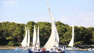 Murter: 22. regata Latinsko idro