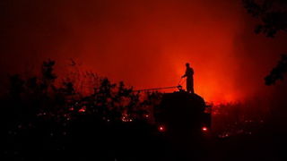 Vatrogasci gase pozar u Policima, Foto: Zdenko Knezevic