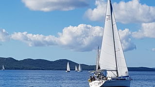 Zadarska Koka 2016. 22. listopada 2016. Foto: Mladen Malik Zadarska Koka 2016. 22. listopada 2016. Foto: Mladen Malik