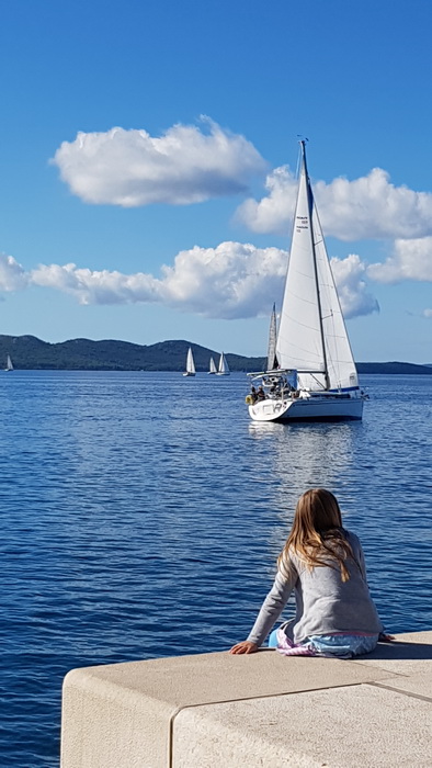 Zadarska Koka 2016. 22. listopada 2016. Foto: Mladen Malik Zadarska Koka 2016. 22. listopada 2016. Foto: Mladen Malik