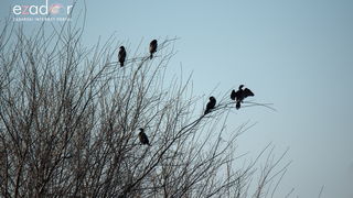 Nedjeljno svitanje na Vranskom jezeru Nedjeljno svitanje na Vranskom jezeru