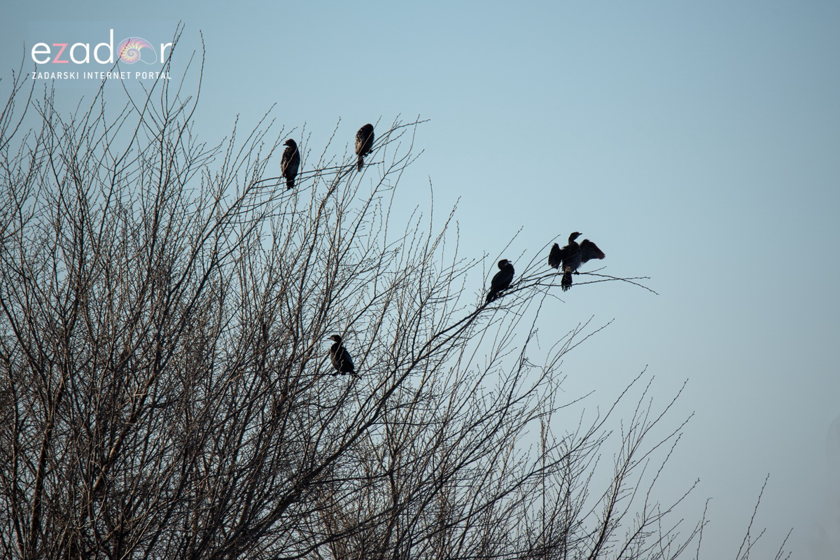 Nedjeljno svitanje na Vranskom jezeru Nedjeljno svitanje na Vranskom jezeru