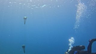 Image 6027735 (auto)