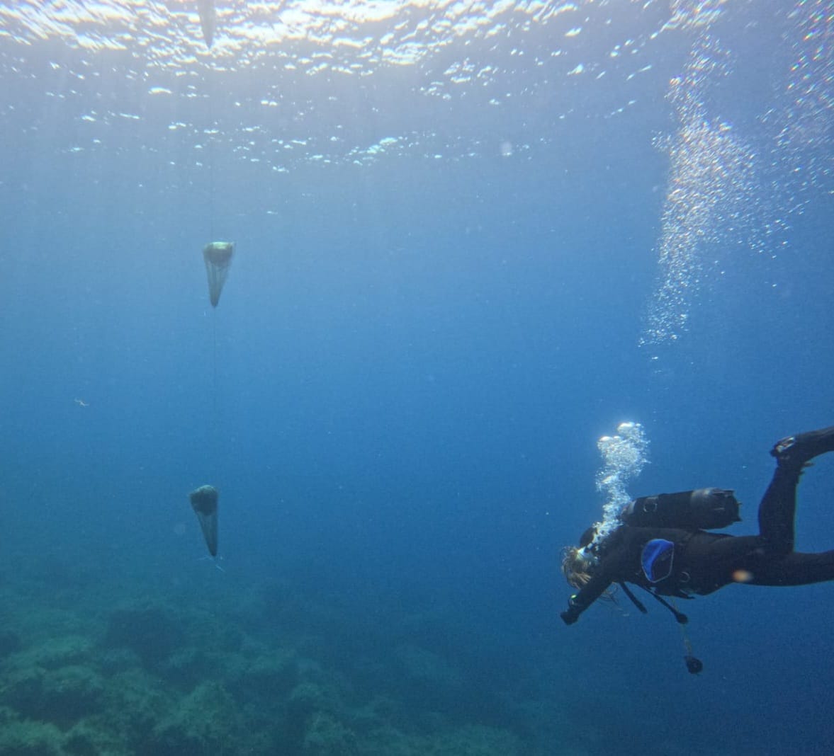 Image 6027735 (auto)