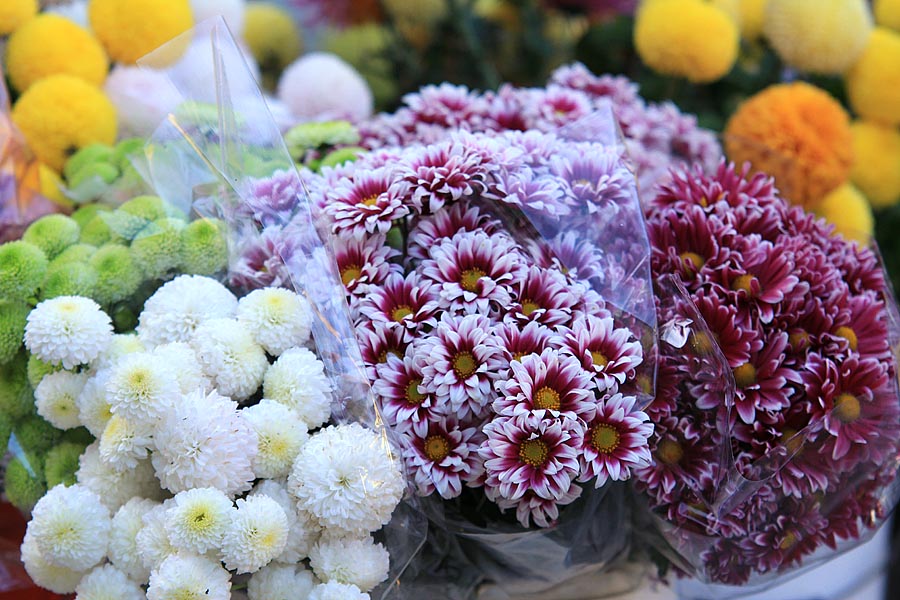 Započela prodaja cvijeća na zadarskoj tržnici, foto-I. Perinčić Započela prodaja cvijeća na zadarskoj tržnici, foto-I. Perinčić