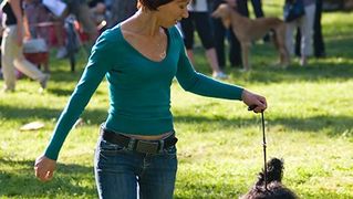 Međunarodna izložba pasa “CACIB ZADAR 2012” Međunarodna izložba pasa “CACIB ZADAR 2012”