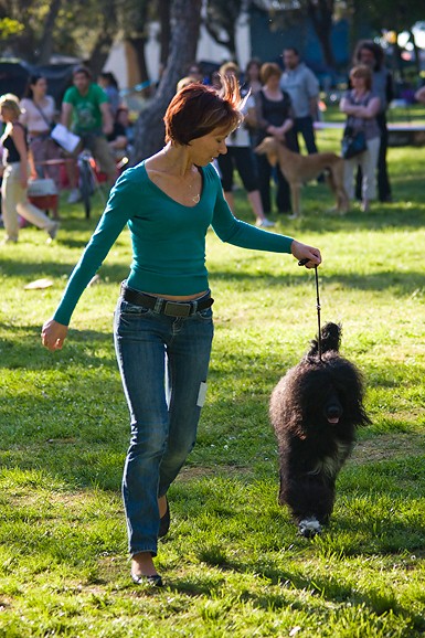 Međunarodna izložba pasa “CACIB ZADAR 2012” Međunarodna izložba pasa “CACIB ZADAR 2012”